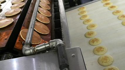 餅干機(jī)械品牌大全 國內(nèi)外主流制造商深度解析