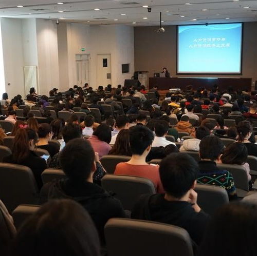 北京人力資源服務行業協會與人力資源服務的深度解析